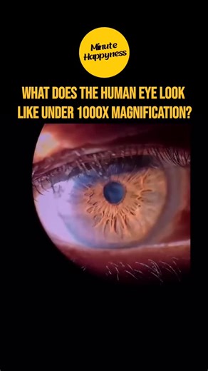 minutehappyness | At 1000x magnification, the human eye becomes a stunning microscopic world. You can witness the unique iris patterns, delicate blood... | Instagram