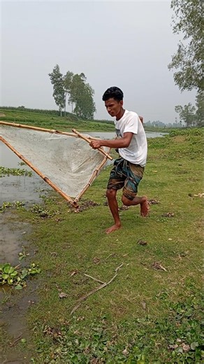 fishing#birdfish #fish #villagelife