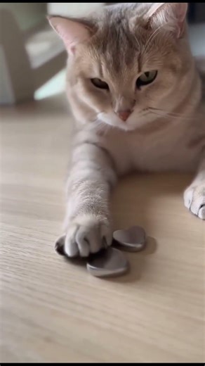 💖🐱 かちっハート / Magnet Click