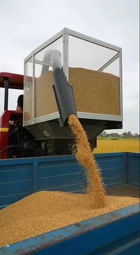 Cutting Through the Future”#ModernFarming #AgriTech #FieldWork