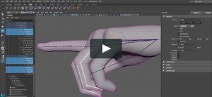 collisionOffsetSkinPipline