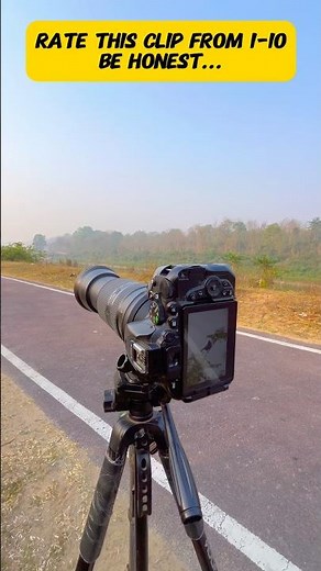 nikon d500 with 150-600mm lens #photography #birds #outdoorphotography #naturephotography