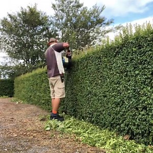 Now that's a satisfying trim 👌 Keep that post-rain growth at bay with our power-packed range of outdoor power equipment ⚡ Find your nearest dealer today and make the switch to Bushranger! 🇦🇺 Aussie Owned & Operated 👊 Residential & Commercial Units 🏆 Over 250 Dealers Aus-Wide ⚡ 38 Months Interest-Free* Offer Approved applicants only, Fees and T&C's apply* 📷 @dqgardens | Bushranger Power Equipment - Australian Owned & Operated