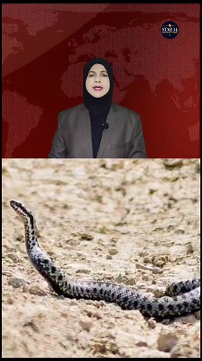 Snake's revenge or coincidence? A girl bitten by a snake 6 times in one month. . . . . . . . . . . . . . . #snake #revenge #bite #hospital #treatment #shocking #manytimes #bitten | Saniyajournalist