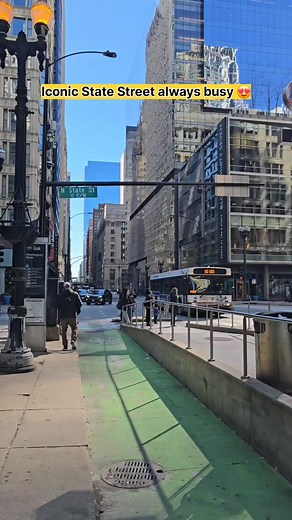 Iconic State Street always busy #chicago #downtownchicago #statestreet #chicagoland | Adechi Olasodé
