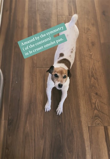 Perfectly Symmetrical Omelets with Le Creuset Pan