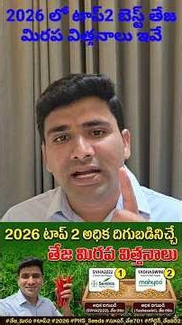 #దమ్మున్న టాప్ 2 తేజ మిరప విత్తనాలు#top 2 best teja seeds in 2026‪@MB-uk4gl‬