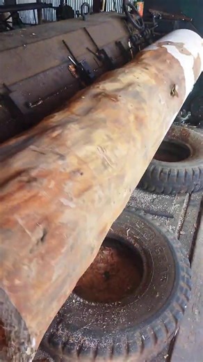 Plywood Making: Factory Edition 🏭 #shorts