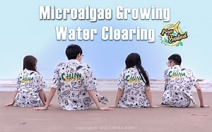【CHINA-FAFU iGEM】项目推广：Microalgae Growing,Water Clearing