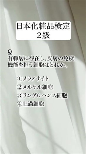 化粧品検定2級｜皮膚の免疫を担う細胞はどれ？【第14問】 #化粧品検定 #化粧品検定 #化粧品検定2級 #検定対策 #資格勉強 #ショート