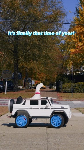 Aflac can help you pick out the right coverage that fits you and your unique needs. 🎄 | Aflac Duck