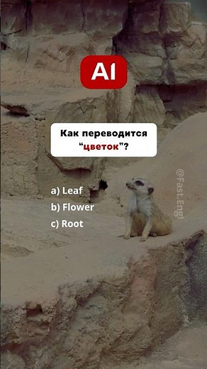 🇺🇸 English Test - A1 #english