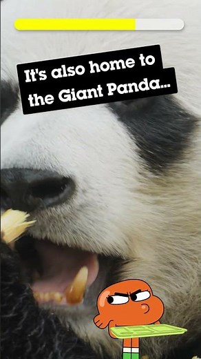 Quiz! Can you guess the country? #climatechampions #shorts #cartoonnetwork | Cartoon Network Africa