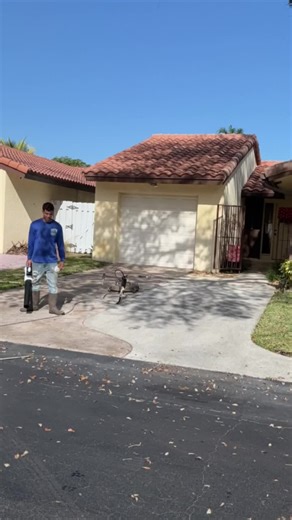 From start to finish, our full pressure washing process delivers results 💦✨ We apply a pre-treatment solution, deep clean with a surface cleaner, and finish with a final rinse for a spotless, refreshed look 🧼🏠 A thorough process makes all the difference when it comes to long-lasting cleanliness. ☎️ Call today and let us restore your surfaces the right way! #PressureWashing #SurfaceCleaning #ProfessionalCleaning #BeforeAndAfter #HomeMaintenance