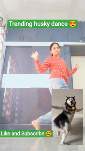 Trending husky dance...💃
