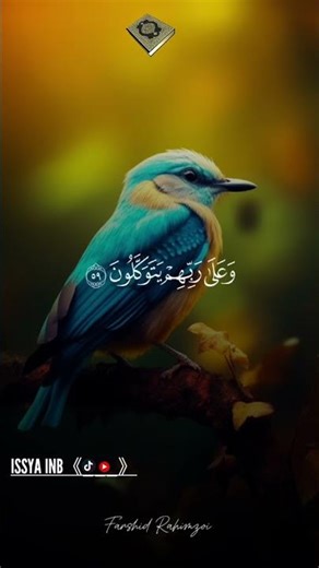 #Shorts #ShortsVideo #ShortsContent #YouTubeShorts #TrendingShorts #ShortsCreator #QuickTips