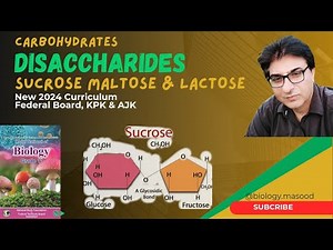 Disaccharides | Structure of Maltose, Sucrose & Lactose | Biology Grade 11 | 2024