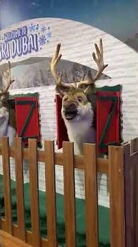 Ski Dubai Mall of the Emirates| Highest Indoor Ski Slope in The World |THINGS TO DO in DUBAI #dubai