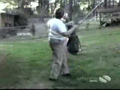 AFV - Golf