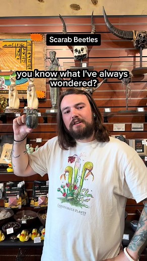 Why were the Ancient Egyptians so obsessed with Scarab Beetles? 🪲🪲 —...