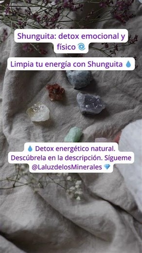 💧 Shunguita: detox emocional, físico y vibracional 🌀