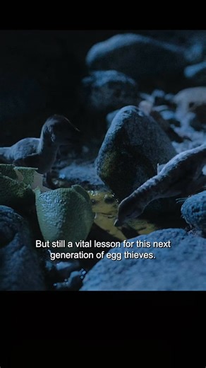 39K views · 1K reactions | Roaring back to life! 練 Witness the prehistoric giants in action.  | Love Dinosaurs | Facebook