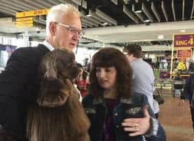 American Cocker Spaniel Striker Comes Close at Westminster