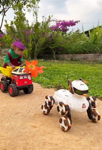 Khỉ Bon đi dạo cùng chó Robot