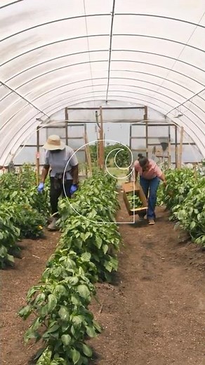 Carhartt x Footprints in the Garden | Making the Holidays Possible