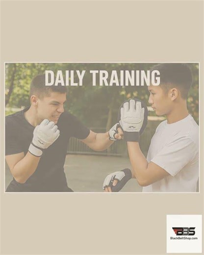 WTF HAND PROTECTOR and Foot Protectors