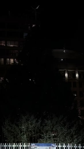 Boston, you sure know how to make a tree feel special. I loved lighting up the Common with all of you. This Nova Scotia spruce has never felt so seen — or sparkly. 🥰🎄🙏 | Tree for Boston