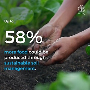 Why do we need to protect our soils and soil nutrition? Simply put: nutrient-deficient soils produce nutrient-deficient plants.... which ultimately lead to people suffering from nutrient deficiencies. via Food and Agriculture Organization of the United Nations (FAO) | United Nations Biodiversity