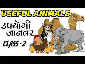 class 2 Science | उपयोगी जानवर | Useful Animals