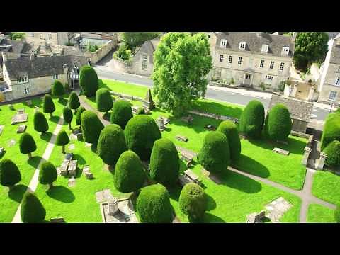 A focus on Yew hedging: All you need to know about Taxus Baccata