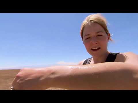 Explore STEMscopes Streaming | STEMscopes™