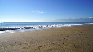 Zoom background video download free