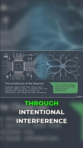 The Quantum Architecture Behind Your Thoughts #neuroscience #mindblown