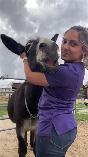 11K views · 724 reactions | Donkey cuddles > everything else 殺 #CuteDonkey #FarmFriends #Donkey #DonkeyAdventures #DonkeyLove #DonkeyLife #DonkeyDreams #DonkeyMagic #DonkeyCompanion #DonkeyConnection | Donkey Whisperer | Facebook