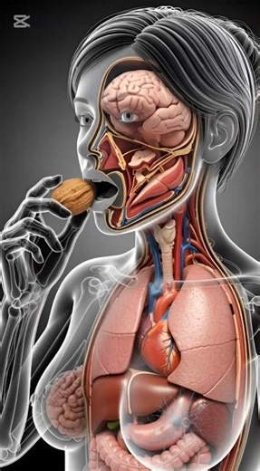 "What Happens If You Eat" Walnuts Health Effects, Benefits & Side Effects"#healthtips #health