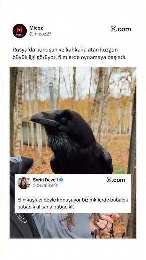 He speaks Russian better than me 😂😅