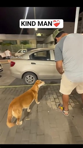 Some Real dog Lovers 💕❤️‍🩹 #kindness #doglove #humanity