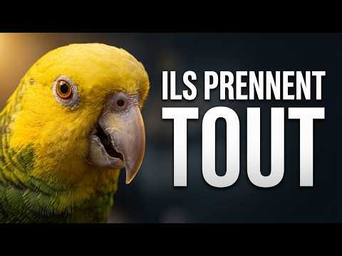 Teaser "Les profiteurs" ce soir 19H en Première | YAGO ReggaePop