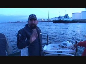 Botany Bay Bait Catching Tips and Spots