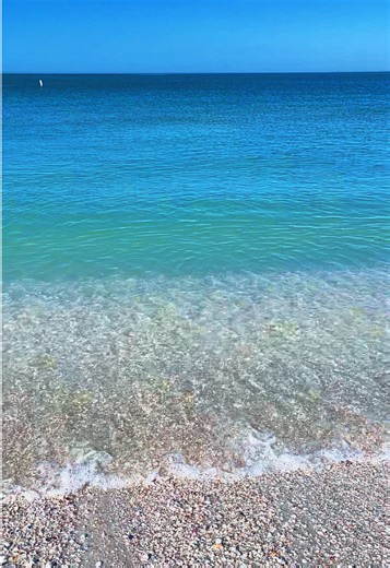 Exciting Beach Finds at Pass-A-Grill Beach