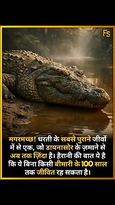 . . The crocodile is one of Earth’s oldest living creatures — a true survivor from the age of dinosaurs! What’s mind-blowing is that it can live up to 100 years without suffering from common diseases, thanks to its powerful immune system and slow metabolism. क्या इंसान कभी इतनी लंबी और स्वस्थ उम्र पा सकेगा? . . Follow @factsamrat45 . . #CrocodileFacts #AncientAnimals #UnrealFacts #MindBlown #CrazyTruths #WildlifeFacts #NatureWonders #DinosaurEra #FactSamrat45 | Fact Samrat