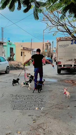 #perritos #dog #pug #chiuaua #beagle