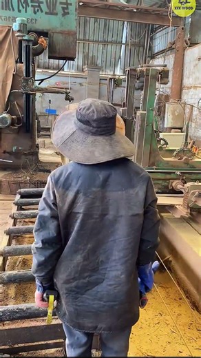 How Giant Trees Are Cut into Perfect Lumber – So Satisfying!