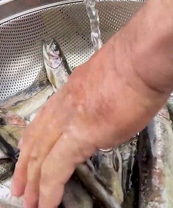 Discover unique village dishes made using unexpected cooking techniques—each one surprising and bursting with flavor! 🌿🔥 From fire to stone, from cave to open air, these recipes will change how you see traditional cooking. #UniqueCooking #VillageRecipes #SurprisingFlavors #TraditionalMethods #FoodAdventure | Outdoor Cooking