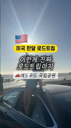 미국 한달 로드트립🇺🇸🚘 레드우드국립공원