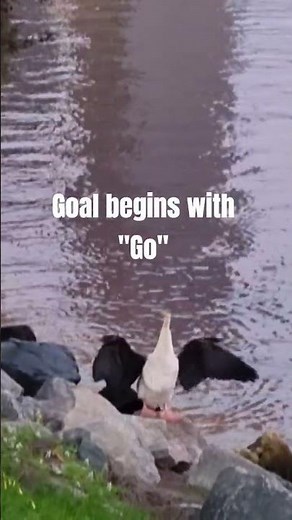 Goal begins with Go – Every dream starts with action. Take the first step, allow the rest to follow.
